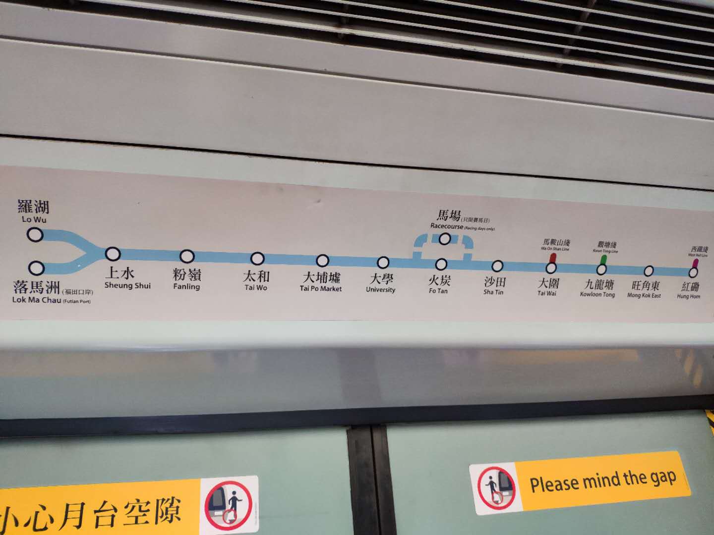 想去香港旅游最便捷的交通工具 (香港本地坐什么交通工具最省钱)