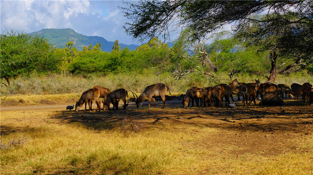 毛里求斯陈小春,毛里求斯马克吐温