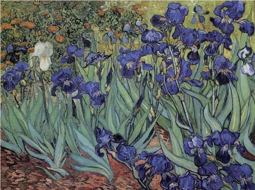 梵高的一生观后感100字,梵高传推荐语