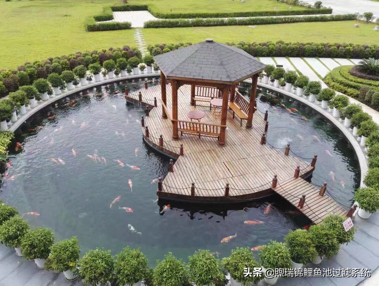 养锦鲤过滤用多大的过滤泵,锦鲤过滤全用生化过滤可以吗