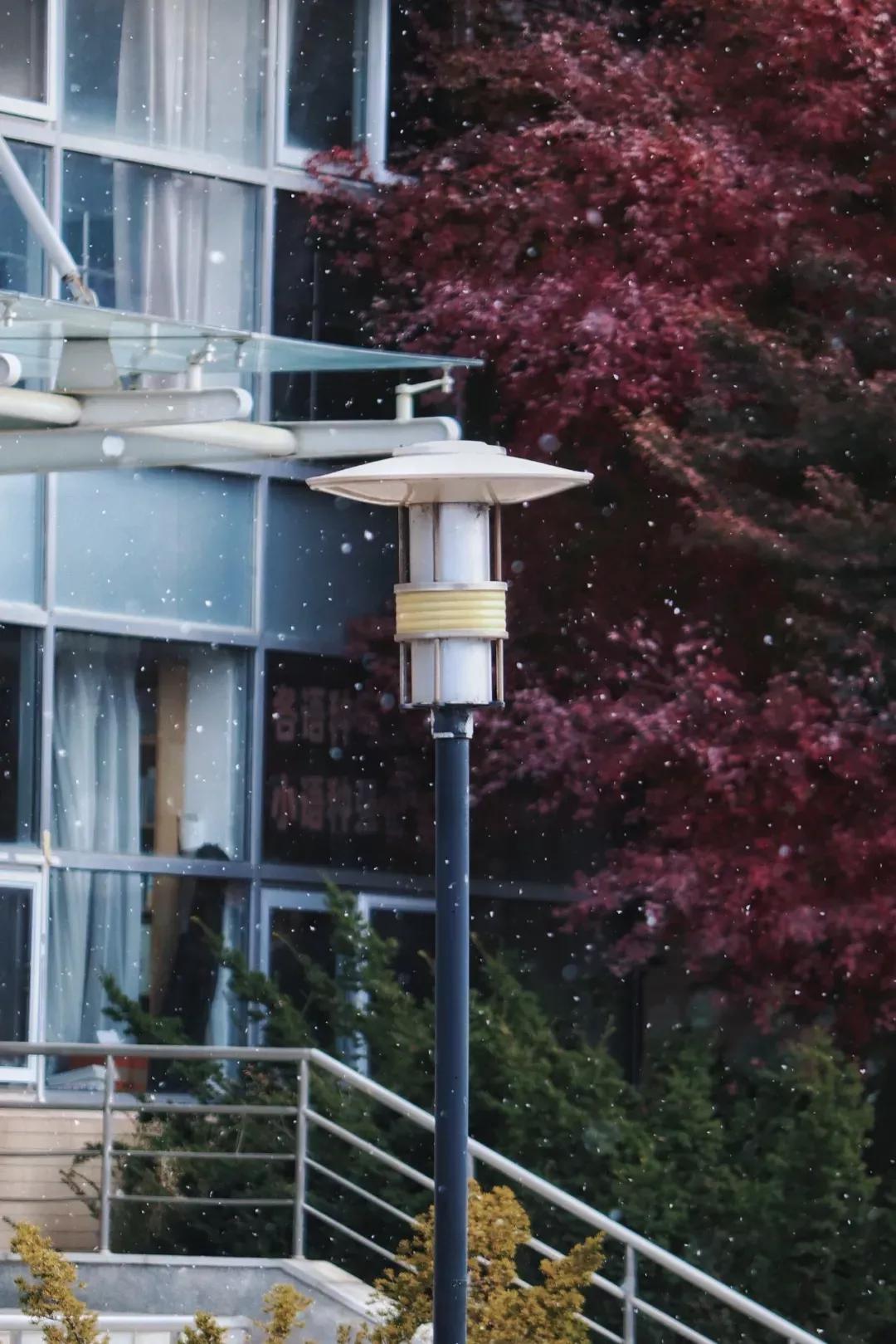 辽宁省高校(三十二)大连外国语大学