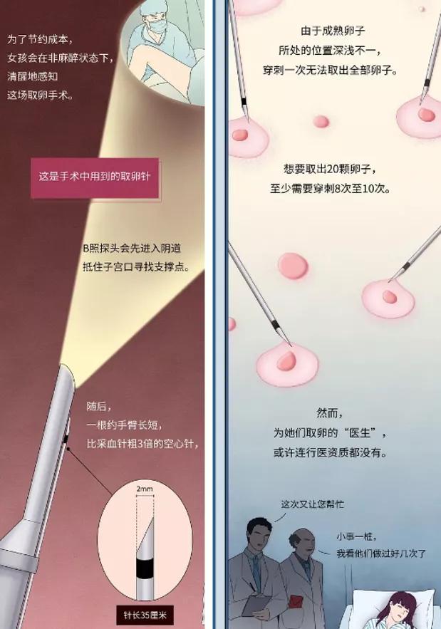 郑爽陷“代孕弃养”风波遭痛批!“借腹生子”的买卖,远比你想象得更可怕