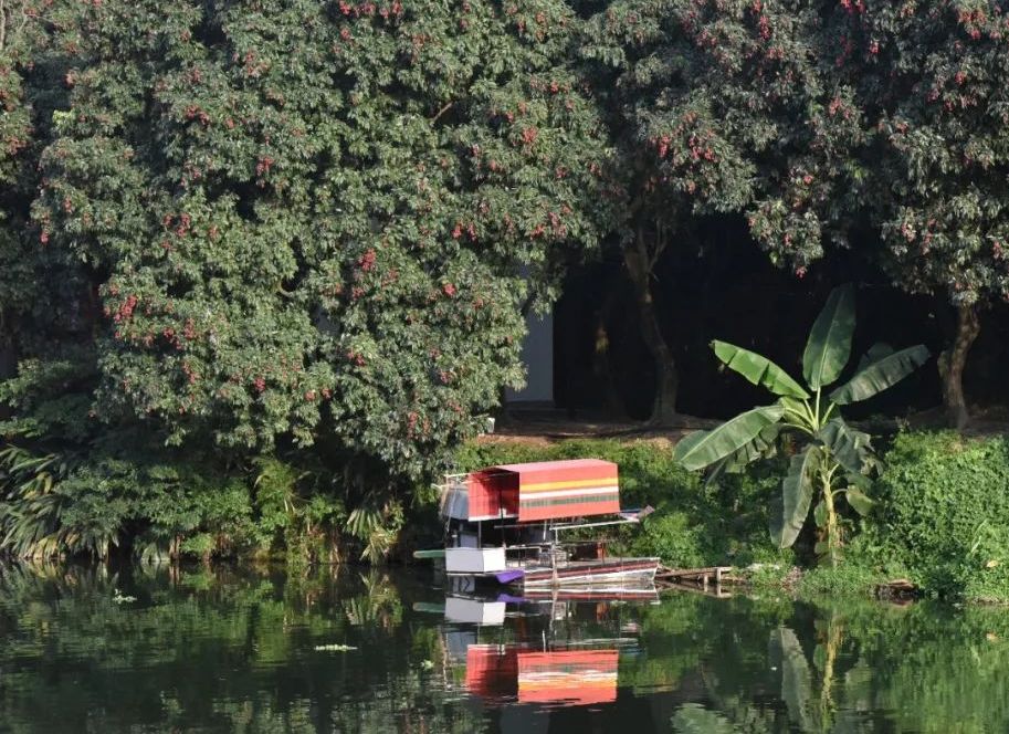 流传千年的风味,那一抹不变幻的甜,是莆田人心头好