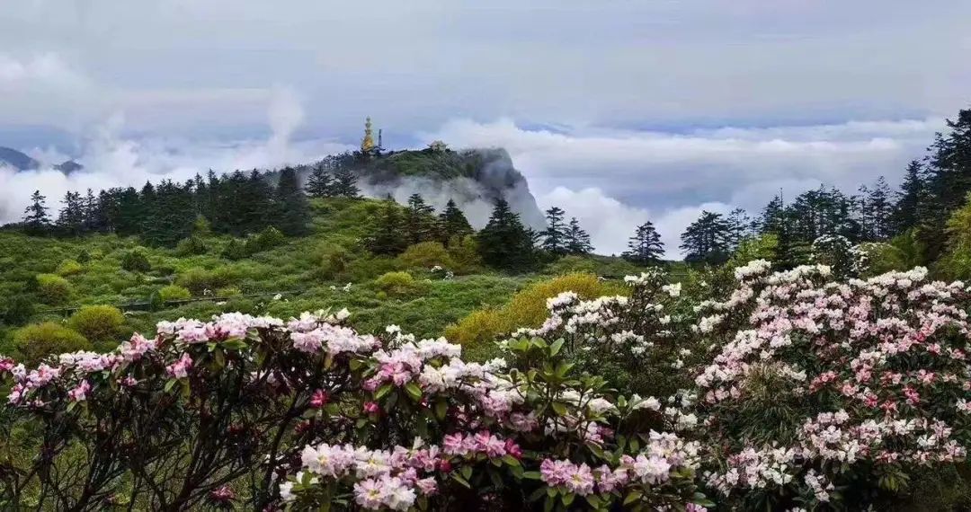 四川普贤菩萨攻略,四川峨眉山普贤菩萨最灵的寺庙