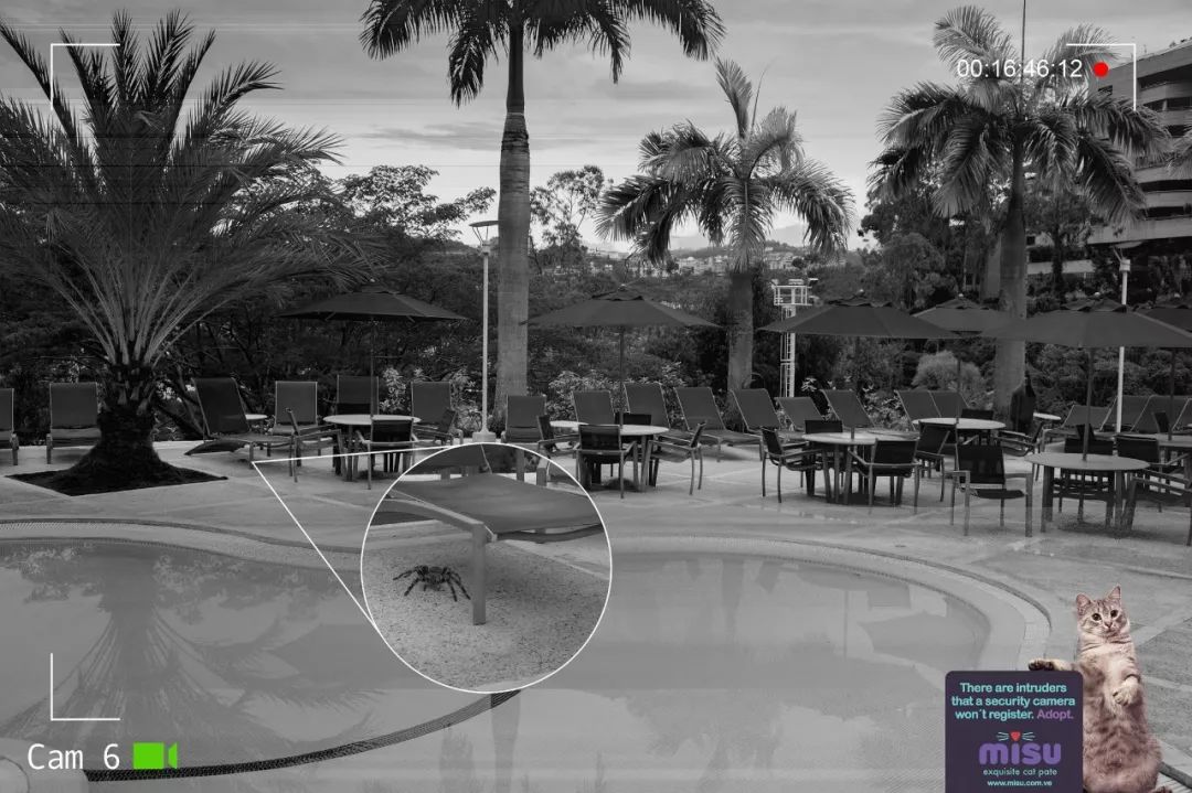 全球创意海报100张,最新创意海报合集值得收藏