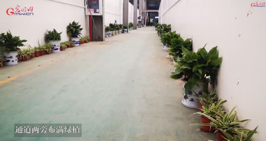 新冠肺炎天价治疗费曝光,为什么治疗新冠肺炎那么贵