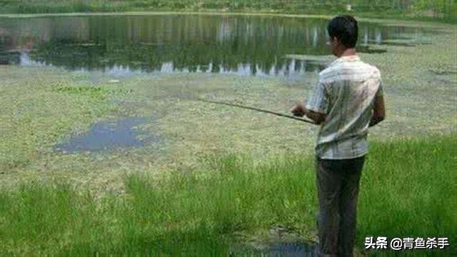 雷强钓黑鱼技巧教学视频,雷强钓黑鱼用什么饵
