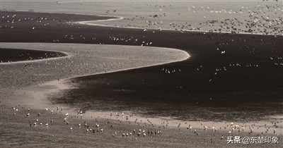 湖北阳新仙岛湖旅游攻略,阳新网湖候鸟驿站自驾游