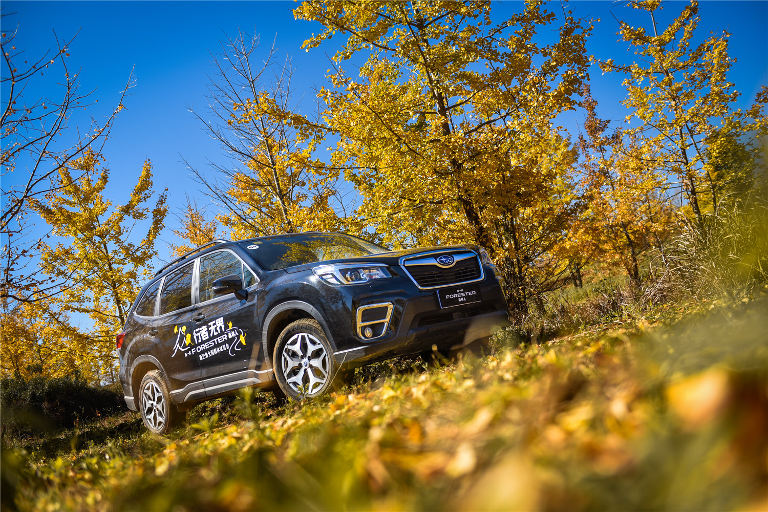 2.0自吸cvt的车能买吗,2.0cvt森林人