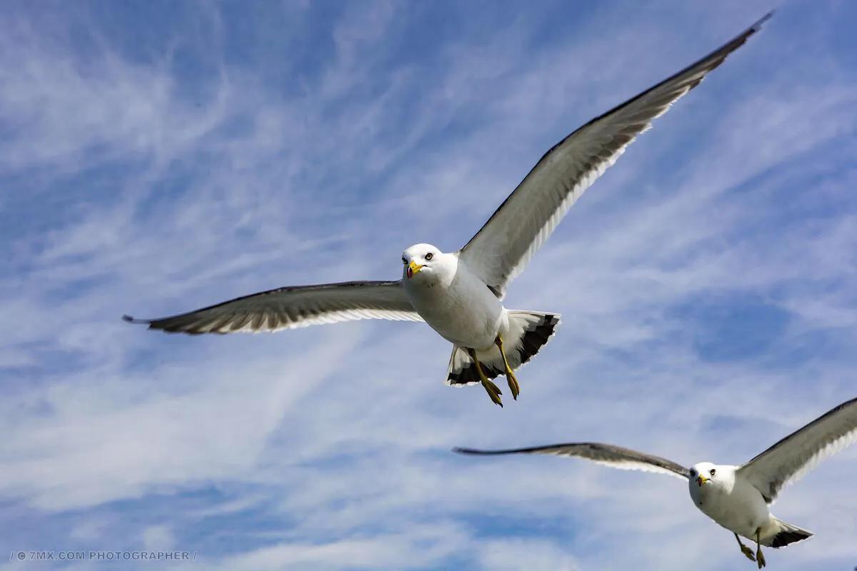 大连高新园区发展,大连高新区发展得好吗