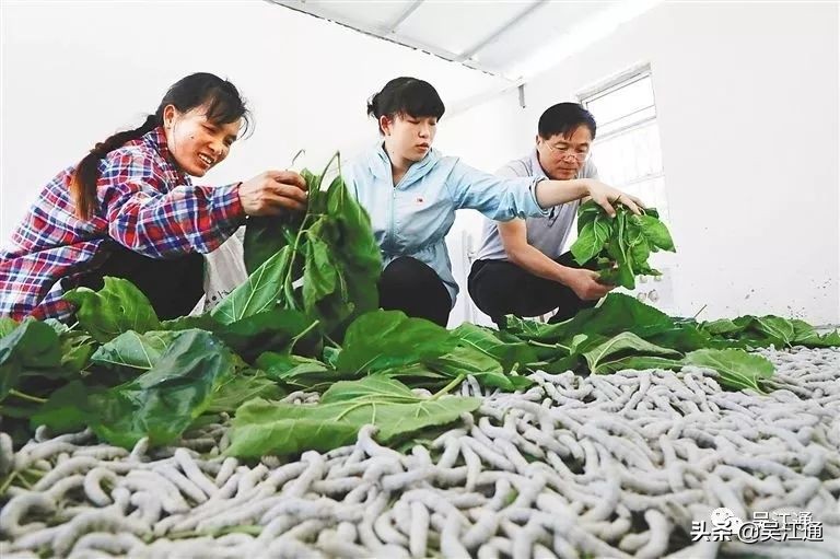 洗脚上岸,洗脚上岸读历史