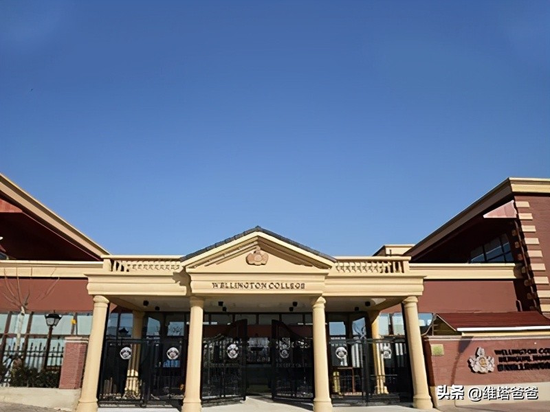 上海帕丁顿双语学校收费标准,上海双语国际幼儿园