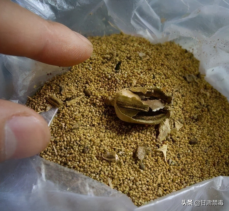 重磅推荐 | 曾文远:*品毒**管制的理念与制度