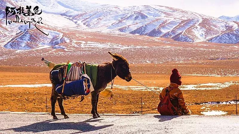 2018年最受欢迎的30部电影,盘点2018年最好看的5部电影