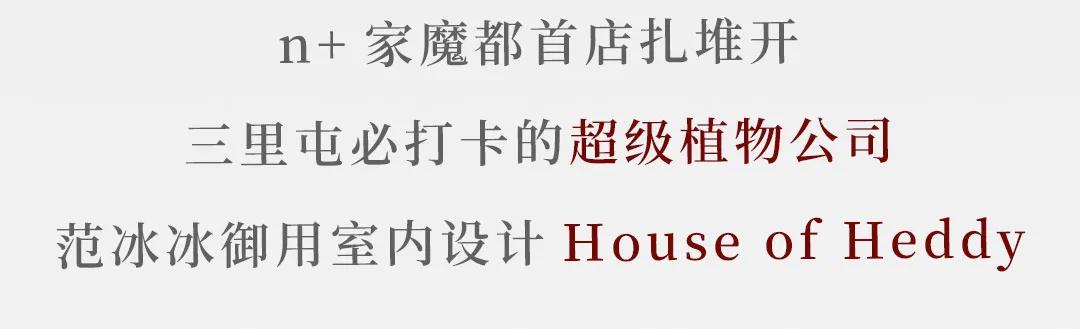 淮海路顶流出片地！21岁、重新回归的「上海广场​」好好拍哦