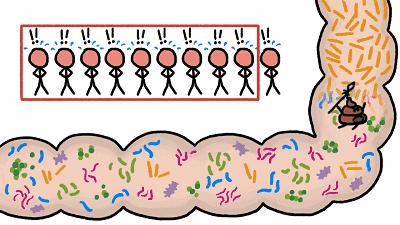 一天不排便=吸10根烟？香蕉治疗便秘？7个排便真相要知道
