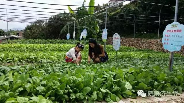 厦门同安周末踏青好去处,厦门岛内踏青景点大全