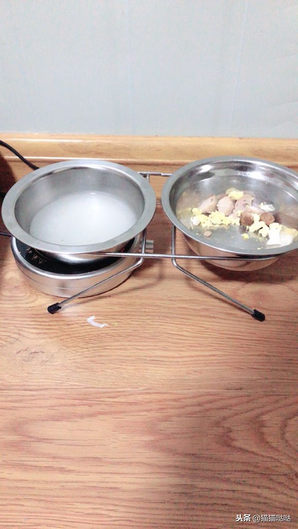 小猫得了猫癣怎么治好得快,小猫得了猫癣能治好吗