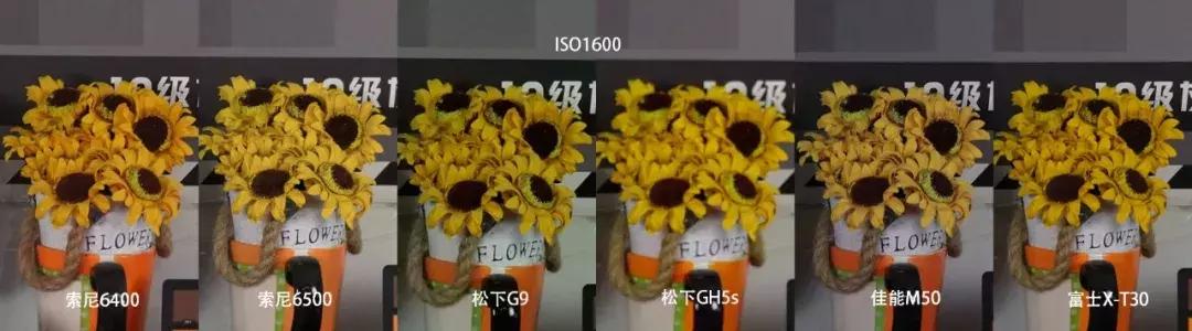 横评|索尼A6400、A6500、松下G9、GH5S、富士X-T30和佳能M50
