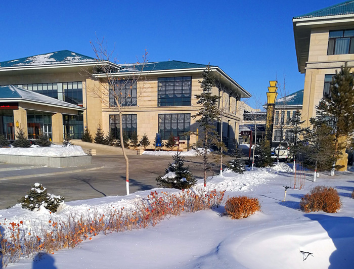 内蒙古狼旅游,内蒙古狼族自驾游视频