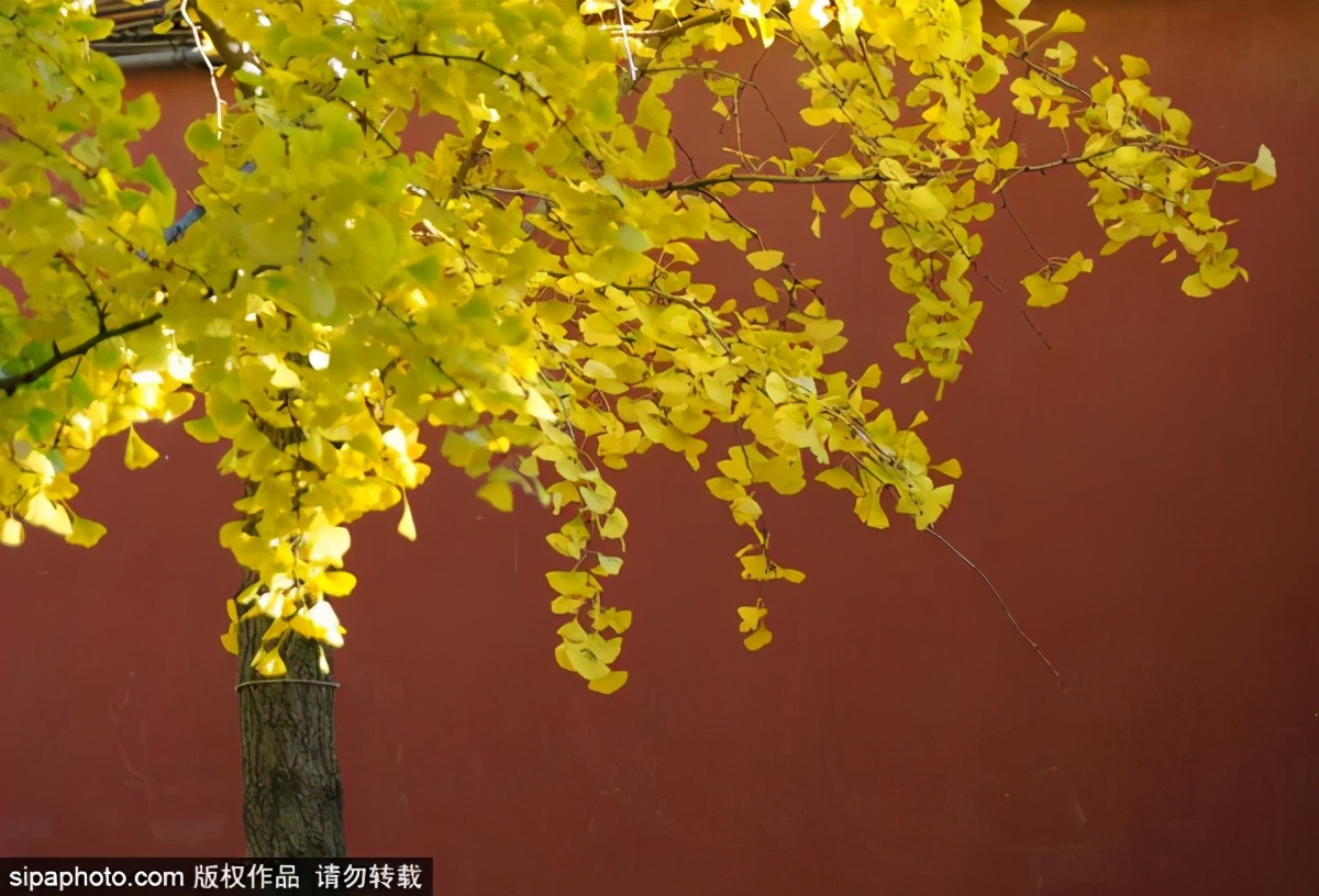 打卡北京十大古迹,打卡北京100个景点