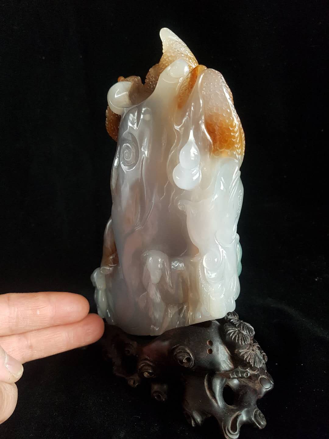 植物舍利盆景,植物舍利