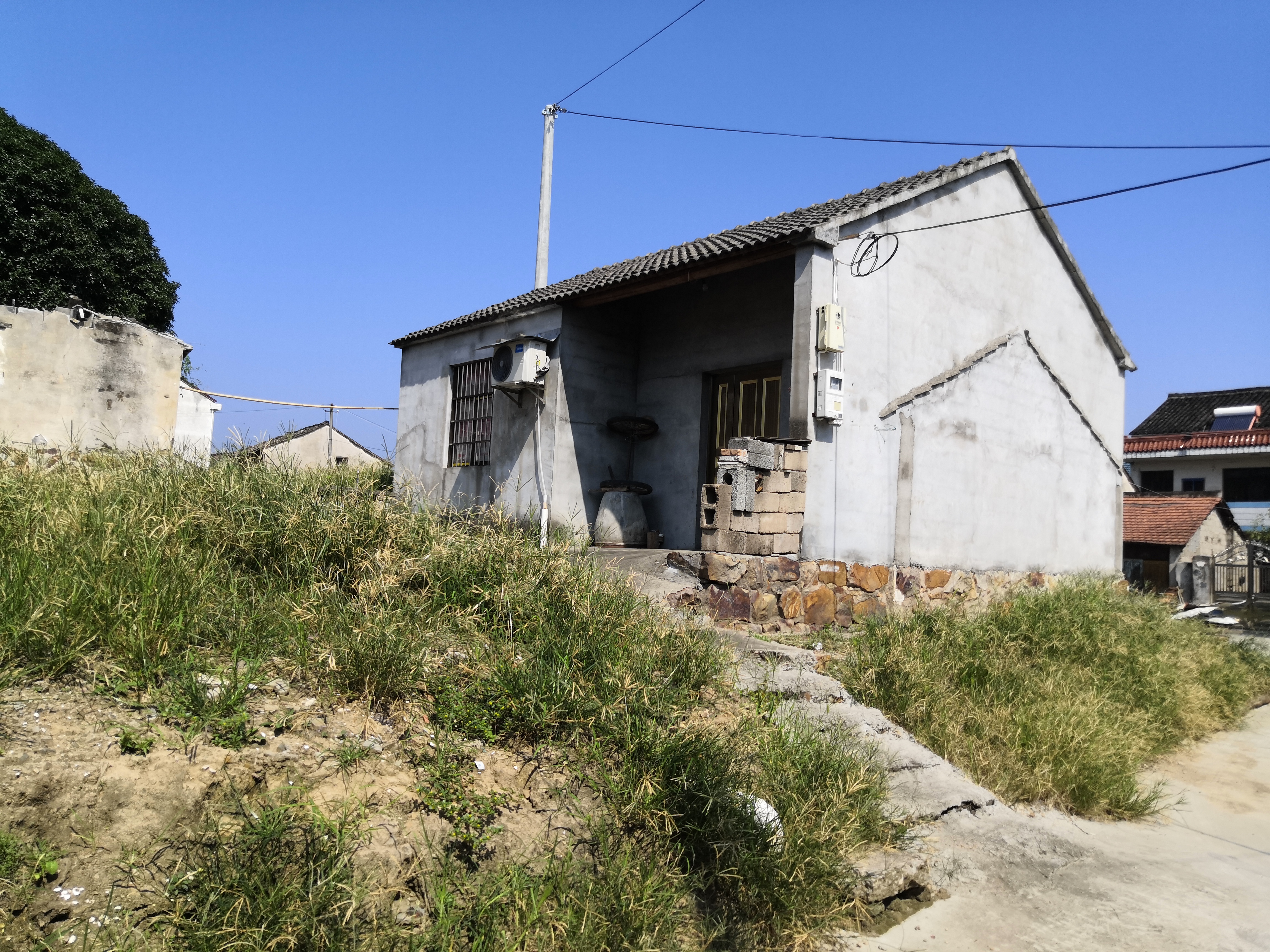 无条件写作日,无条件写作日爱地球专场视频