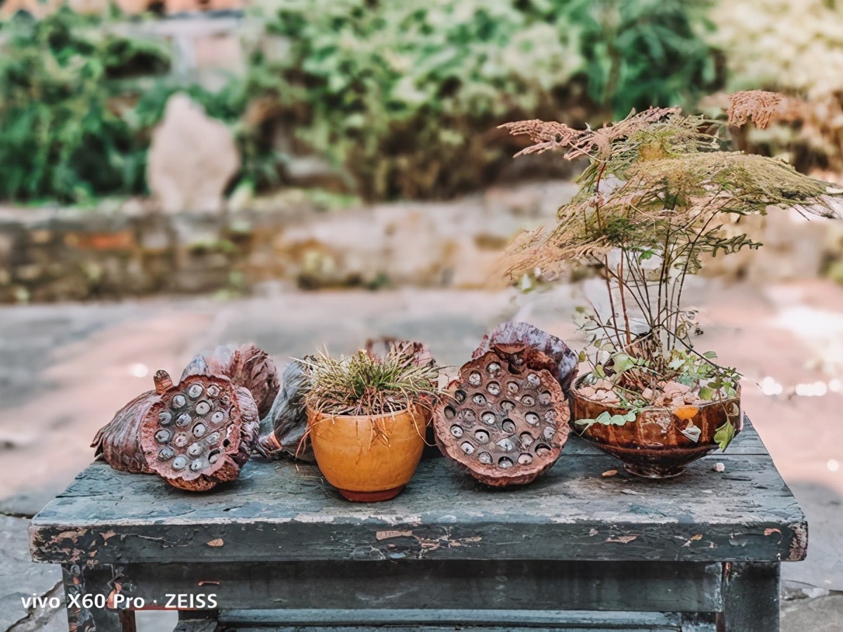 vivo重庆怎样,vivo与重庆