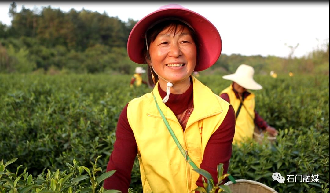 弃高薪！常德石门这个女硕士回村当“茶女”