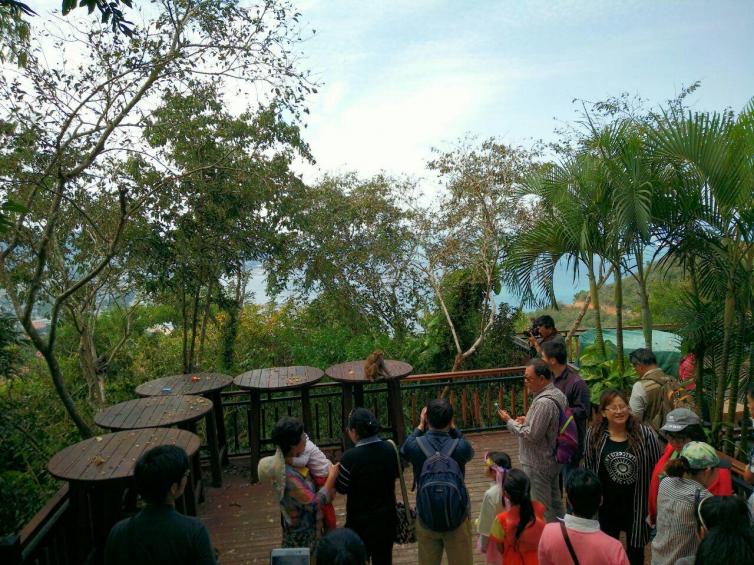 三亚南山旅游攻略自驾游,三亚到万宁的自驾游攻略