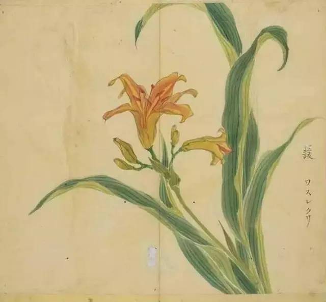 五千年来最美的20首诗,100首美到窒息的诗句