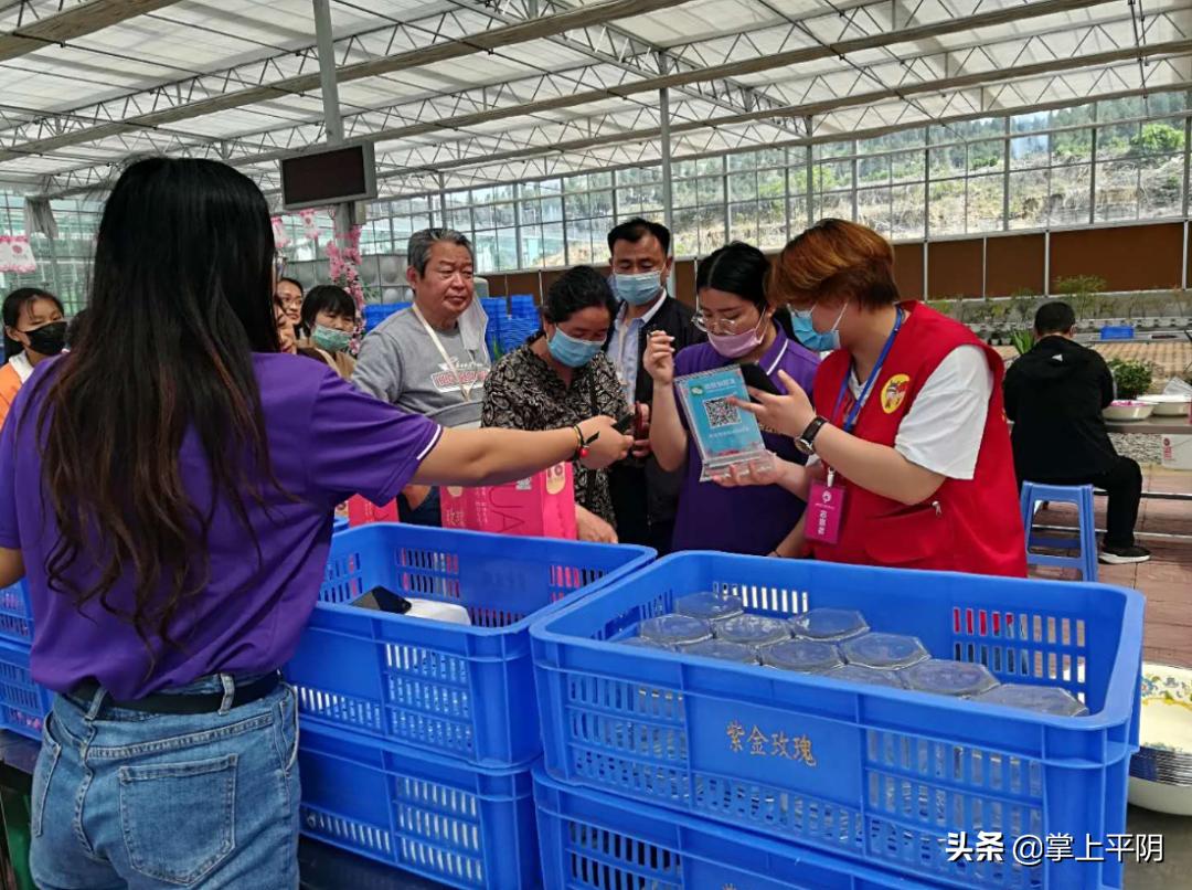 平阴新闻|昨日玫瑰花目标价格检测公示;金融政策送上门助力创业妇女复工复产;水利设施除险加固惠民生