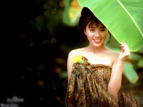 酒井法子吸毒事件真相,酒井法子吸毒事件