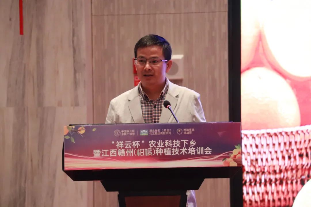 祥云杯武穴第二届创新创业大赛,祥云杯科技