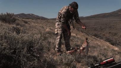 真正的狼灭：美国农场主一夜*击狙**45只郊狼，全套黑科技开挂了