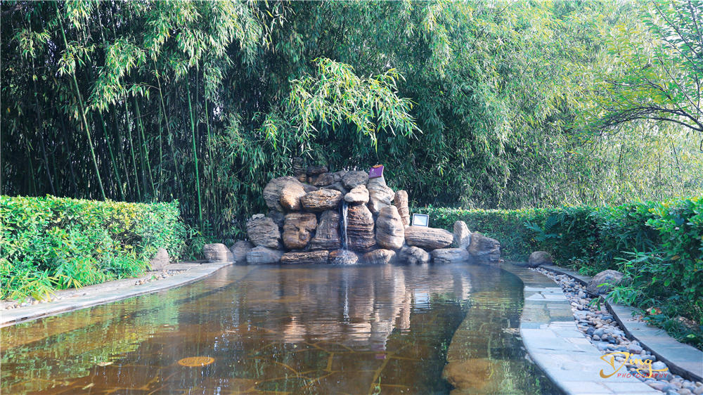 西安室外泡汤好去处,西安冬日赏雪泡温泉