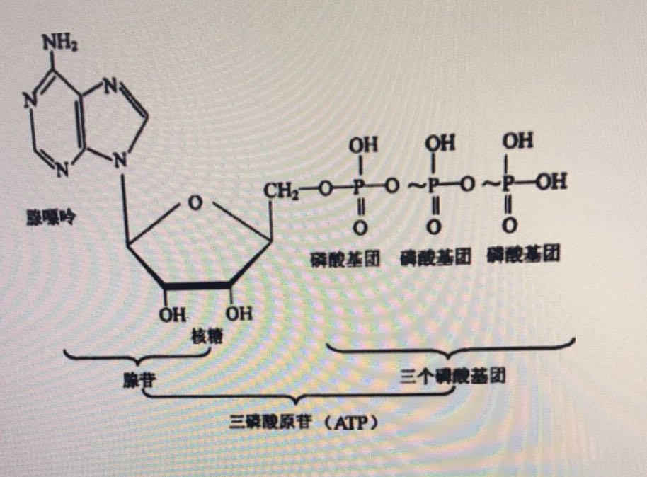 法匹拉韦致畸风险该如何控制,法匹拉韦在新冠肺炎的效果