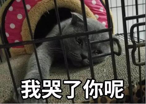 清爽一夏的脱毛攻略,超全夏日脱毛大法