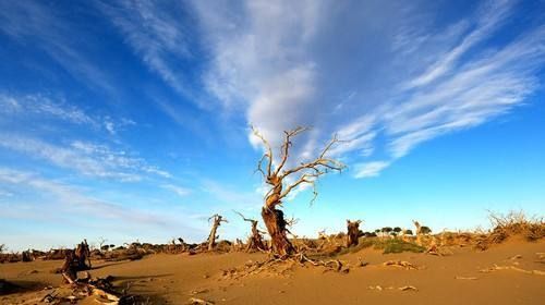 教改20年,三线以下城乡素质教育的问题和希望(原创