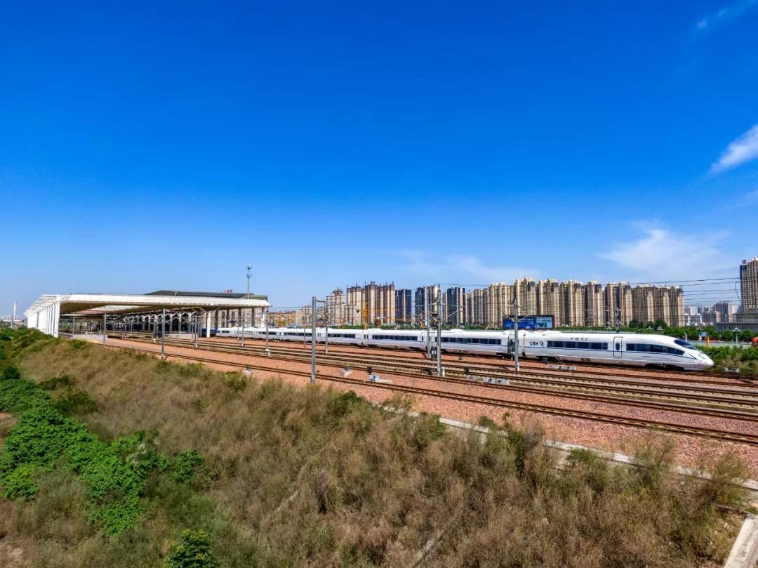 洛阳免费票政策 (洛阳年票国庆期间能用吗)