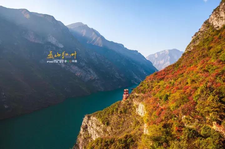 比光雾山还红，比金川彩林还晚，中国顶级的红叶盛宴正当时！