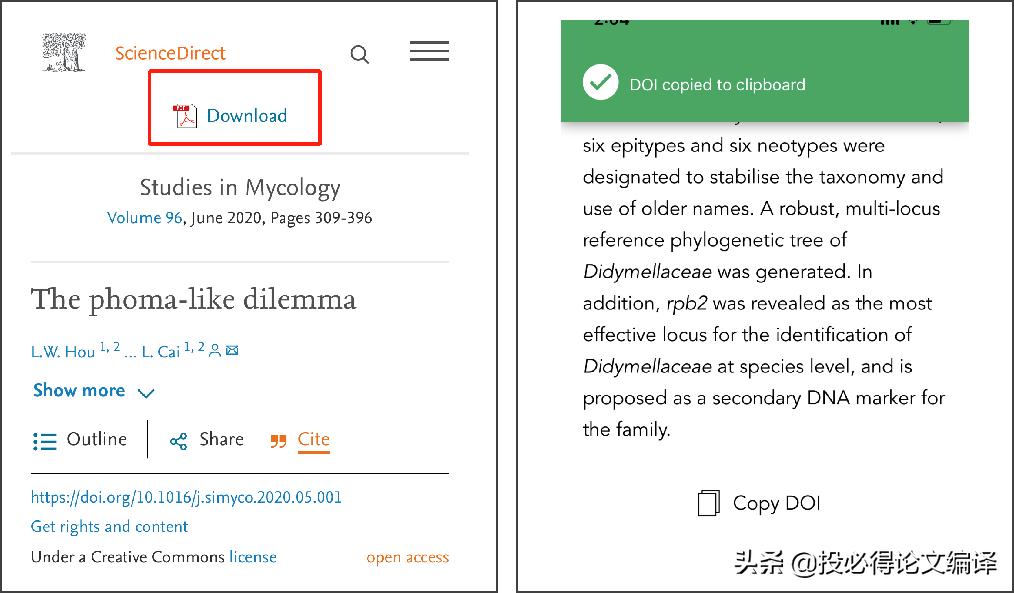 它来了免费在线阅读,免费文献搜索工具