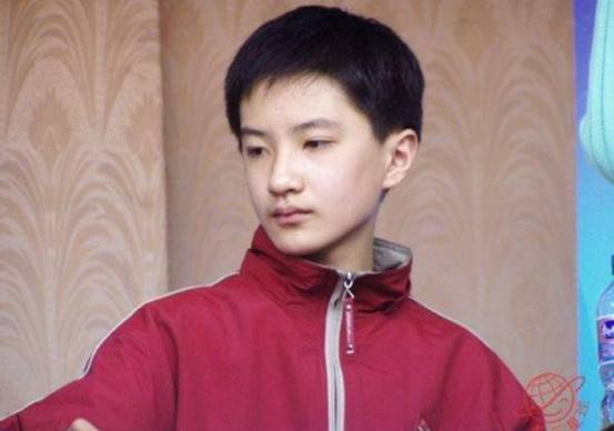 丁凯乐李瑞结果,丁凯乐李瑞婚礼视频