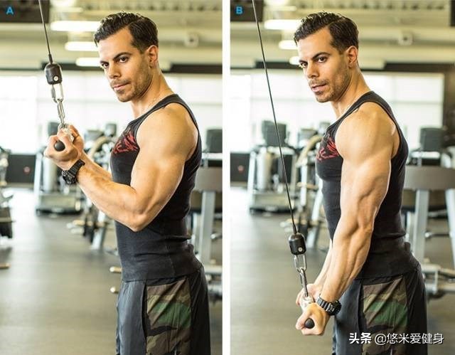 手臂臂围训练方法,增加臂围最有效的动作