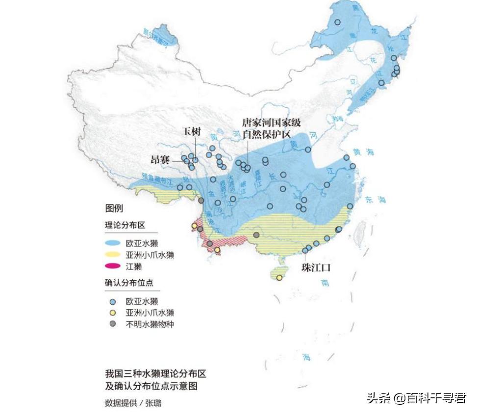 五月的最后一天是星期几,五月的第三个星期天是什么节日