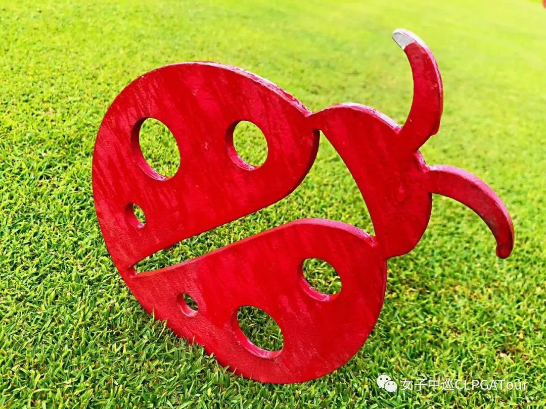 这是一场与高尔夫的热爱之旅!(二)