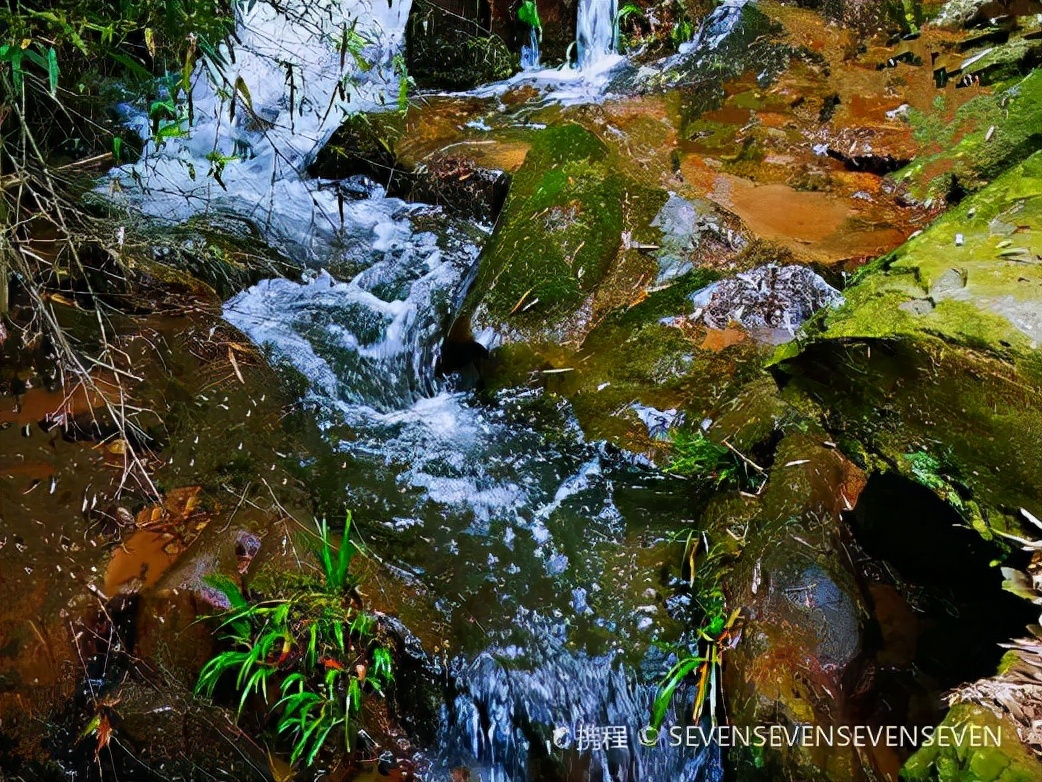 宜春有哪些好玩的旅游景点,宜春有哪些旅游景点值得去