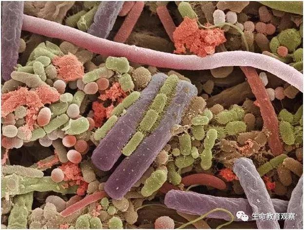 看完后，整个人都有点不对劲了（传播生物知识）