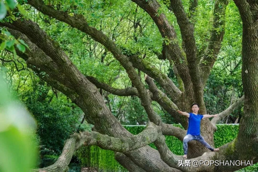 重磅名师!惊艳魔都的瑜伽生活盛会