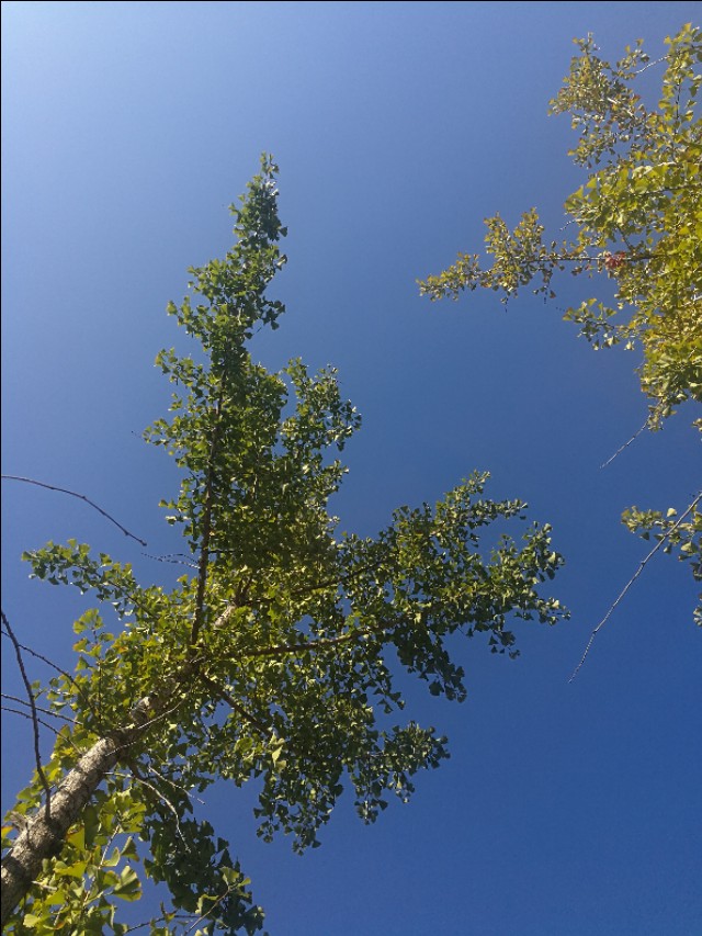 散文冬天的湖,冬天散文朗诵